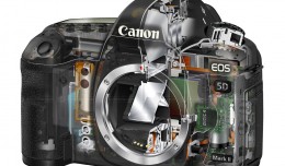 La sucesora de Canon Mk II aún en el tintero