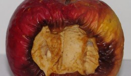 manzanapodrida
