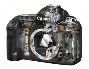 La sucesora de Canon Mk II aún en el tintero